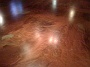 Traverse City Mi Custom Reflector Restaurant Epoxy Flooring